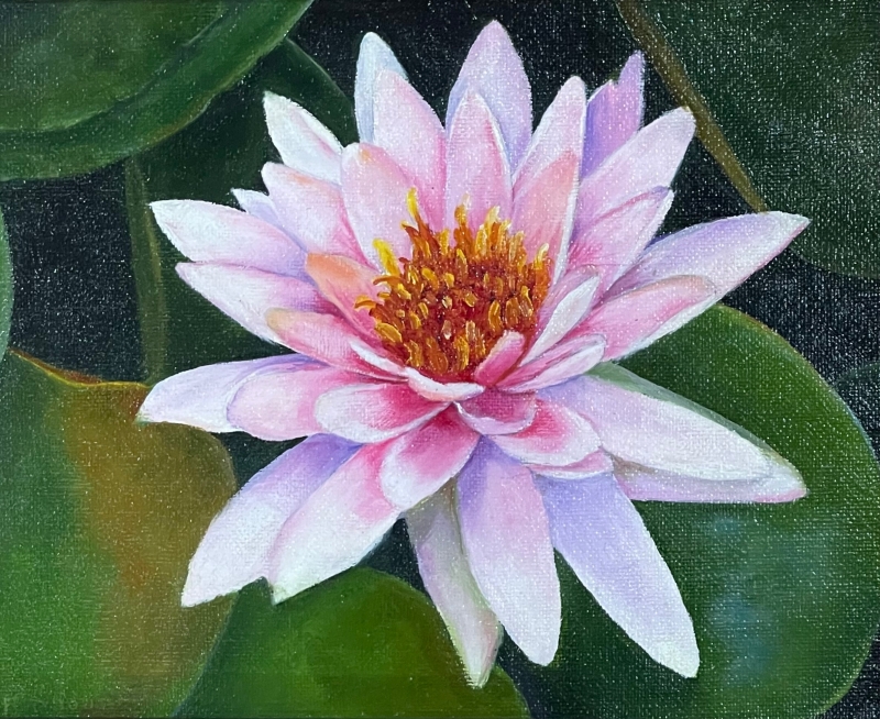 Water Lily by artist Pat Flathouse